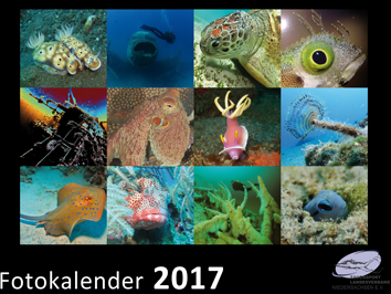 TLN-Kalender 2017 (Werbegrafik)