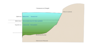 Schichtung eines Sees